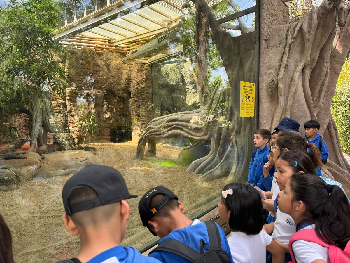 MDP Bailèn tweet media