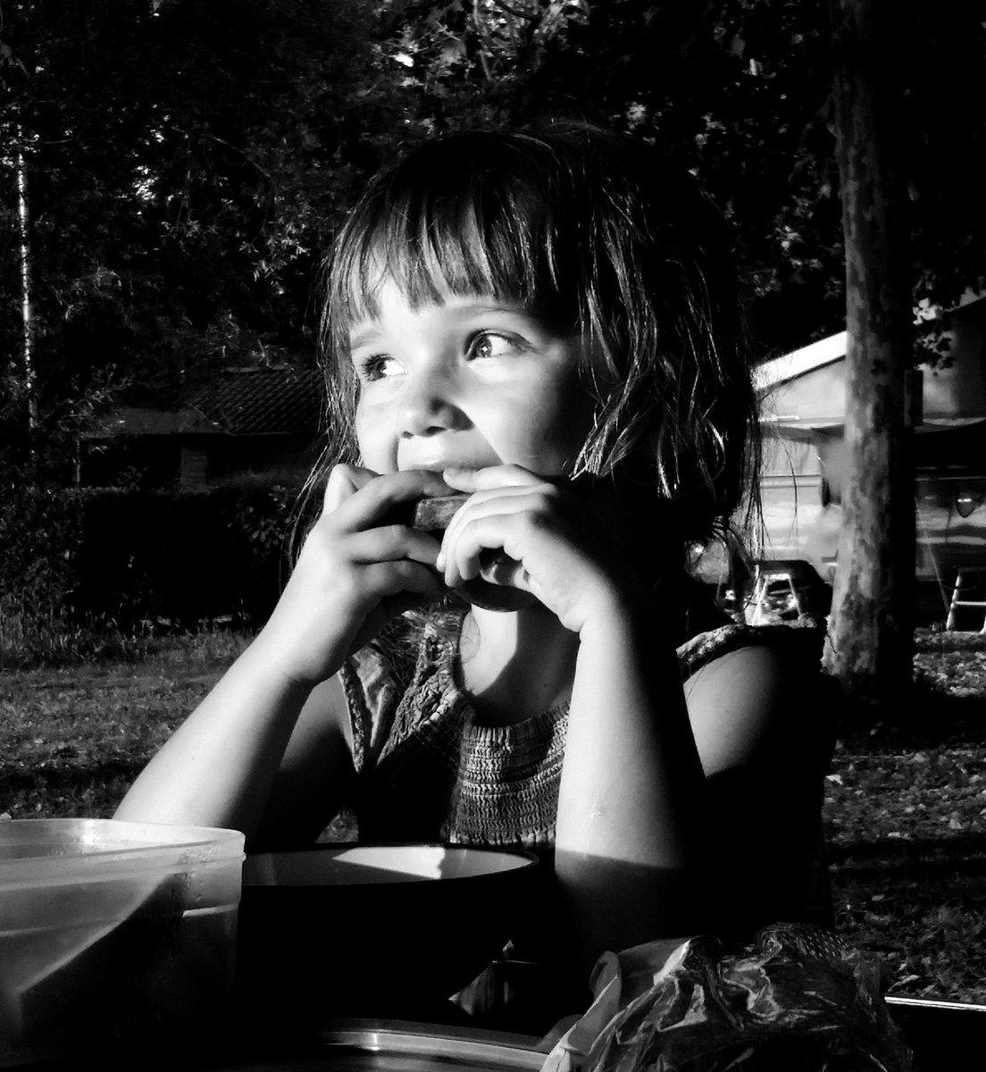 Adverto - To observe #Gallery365in2024DailyPrompt #Gallery365in2024 ⁦@Gallery365photo⁩
Munching a watermelon is not enough to stop this one from keeping an eye on everything... (old archive photo)