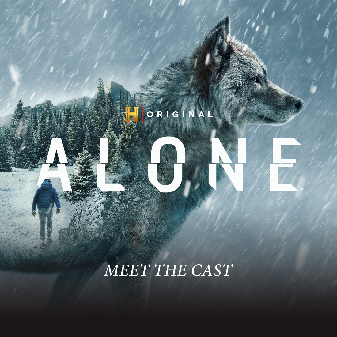 HistoryTVCanada's tweet photo. 🌟 Meet the cast of ALONE 🌟

Get ready to witness survival like never before as these brave souls embark on the ultimate test of grit, skill, and determination for a chance to win the coveted $500,000 cash prize. Don't miss the season premiere of Alone, June 13th on the HISTORY Channel. Also streaming on STACKTV.

#AloneOnHistory