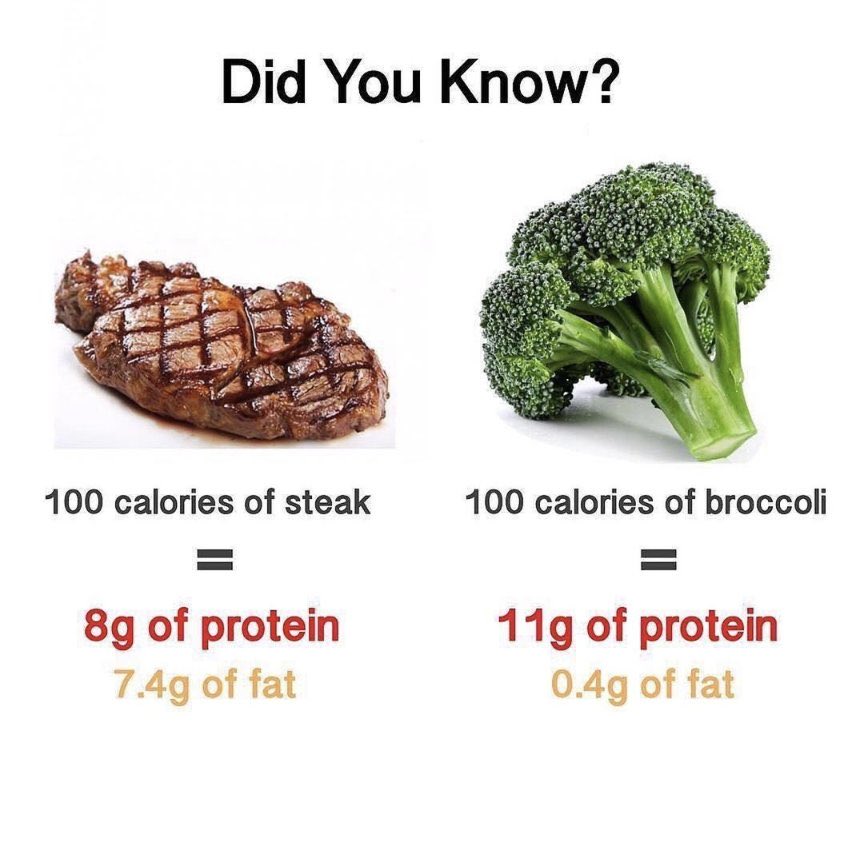 protein: 🥦 > 🥩