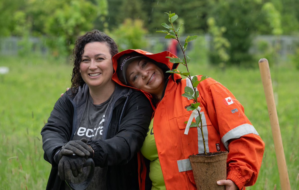 alectranews's tweet photo. We’re planting a greener future in @cityofmarkham with @10ktrees 🌳🌱! Our team planted 650 trees, shrubs, &amp; 90 wildflowers, to support the growth and restoration of Monarch Park. Read about it here: https://t.co/LieqFbXgGz
 #alectraCARES #MarkhamON https://t.co/17NlTjSgX7