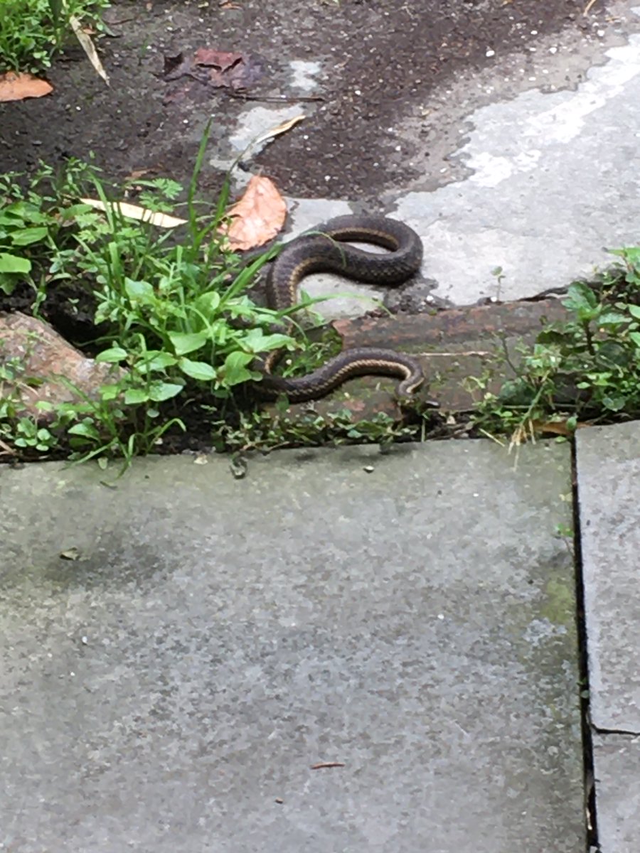 Got a little visitor by our door. He looks cold! Poor thing.