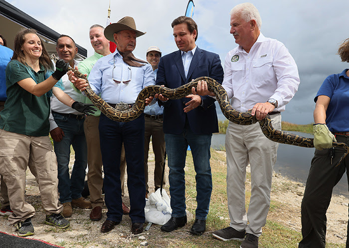 ChristinaPushaw's tweet image. Today, @LtGovNunez announced that registration Is OPEN for the 2024 Florida Python Challenge!

🐍The Florida Everglades is an extraordinary ecosystem unlike any other in the world! However, some reptiles, like the invasive Burmese python, do not belong in this ecosystem and pose…