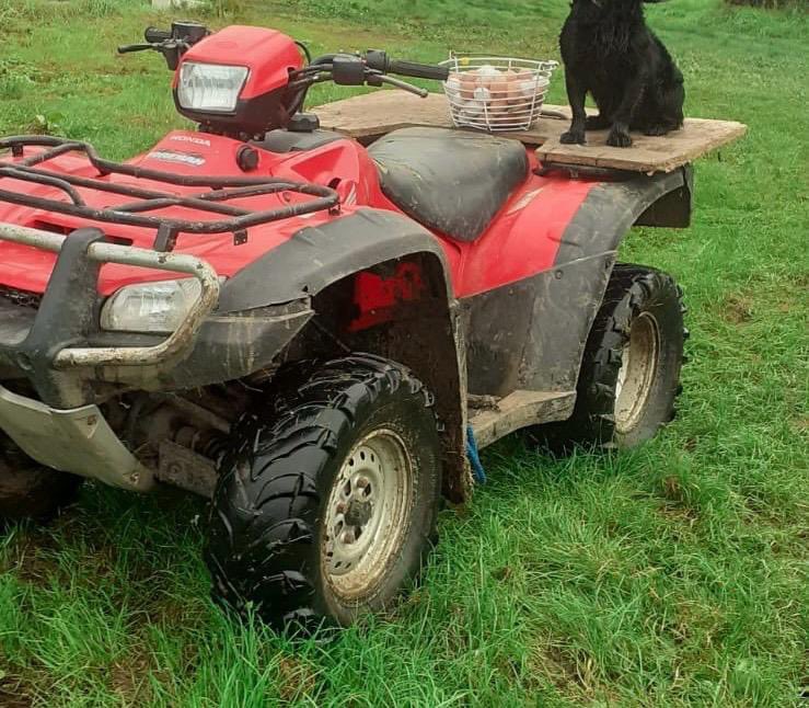 Humberbeat_RTF's tweet image. #RuralTaskForce **APPEAL** This Honda Quad Bike has been stolen during the early hours of this morning (Thurs 30th May) from FLINTON, EAST YORKSHIRE. Lets make this quad too hot to handle! Any info on its whereabouts contact Police on 101 quoting Log 82 30/05/24 #RuralCrime