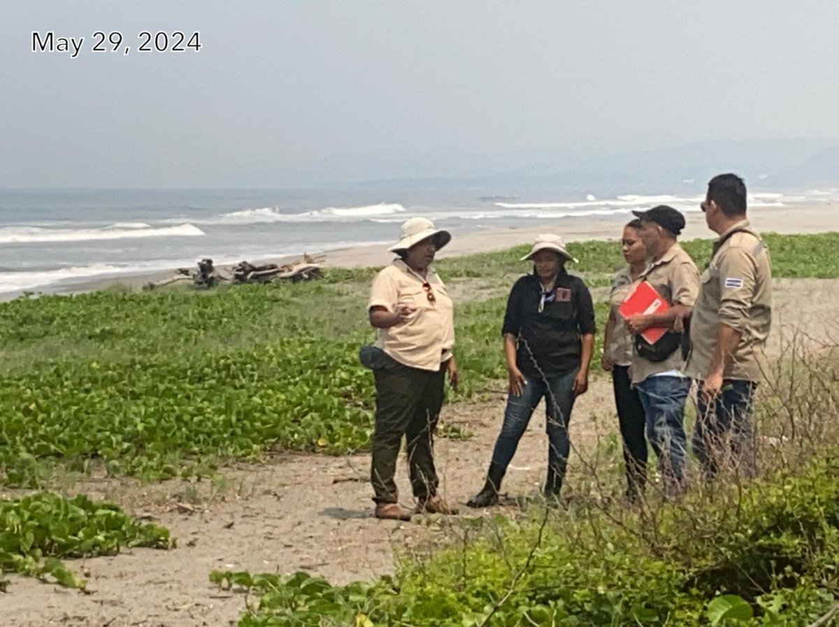 PLANTAREMOS MUCHAS ESPECIES DE MANGLE, HUISCOYOL Y PALMERAS. HAZLO CON NOSOTROS #ambient #accion #manglares #guardaparques #cops #fundacion #empresas #voluntarios