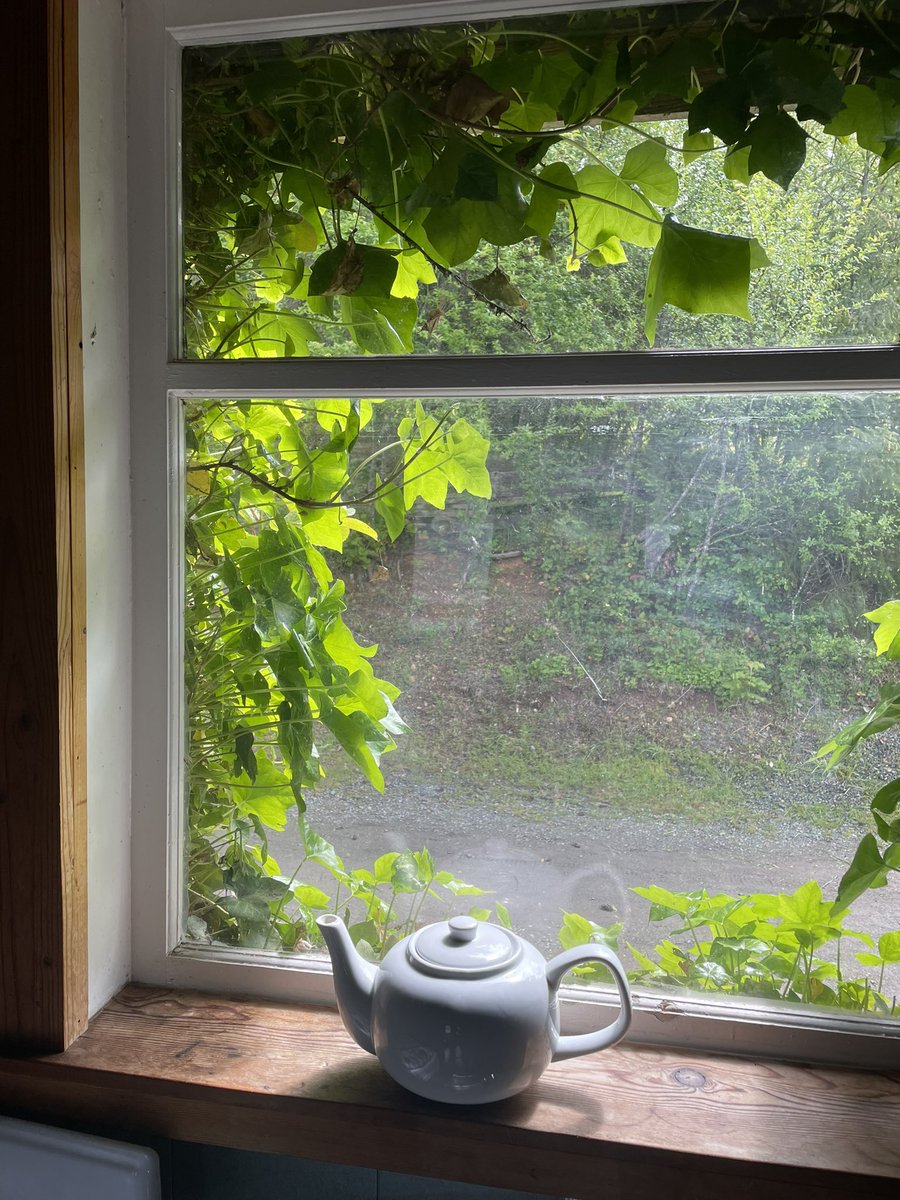 Andrea Wijayakoon Phillpotts (she/her) tweet media