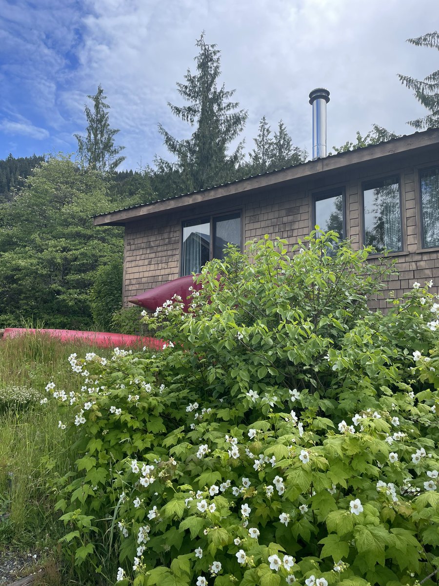 Andrea Wijayakoon Phillpotts (she/her) tweet media