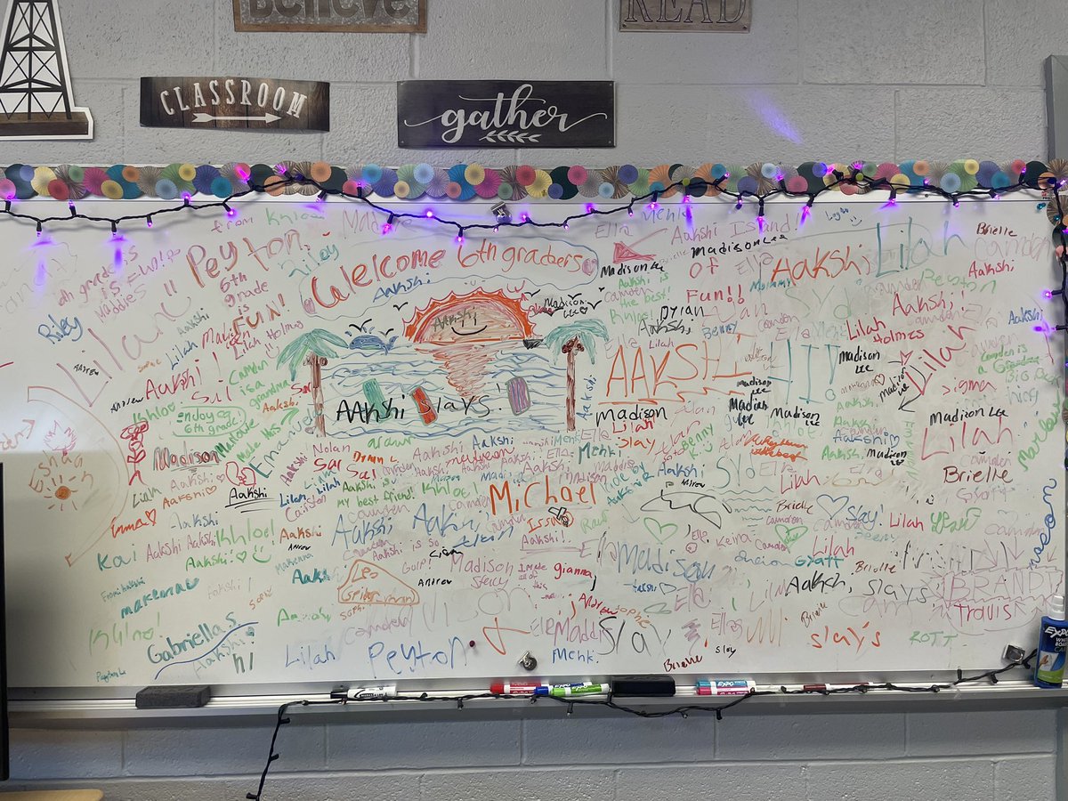 Stephanie Thomas tweet media