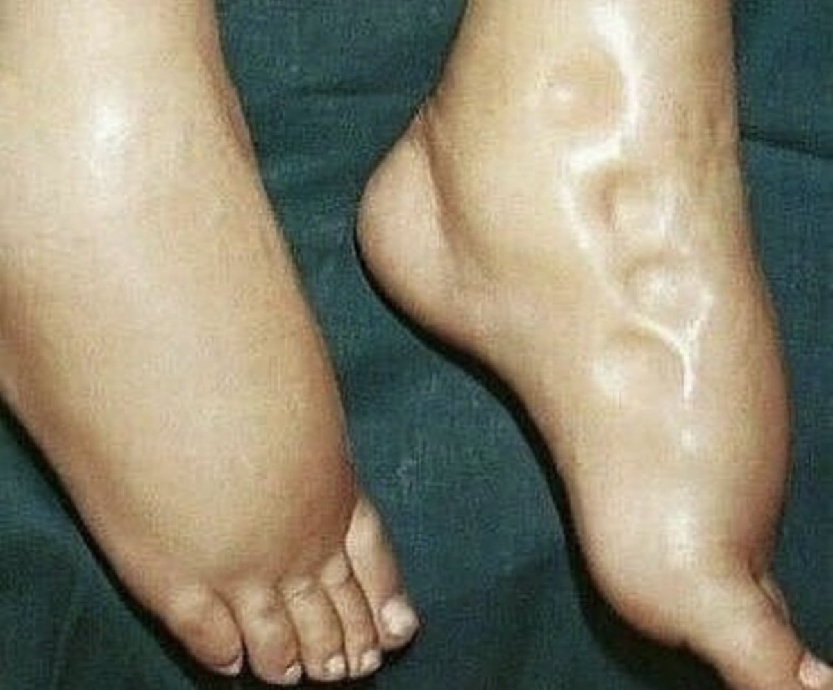 د.احمد القبيضي tweet media