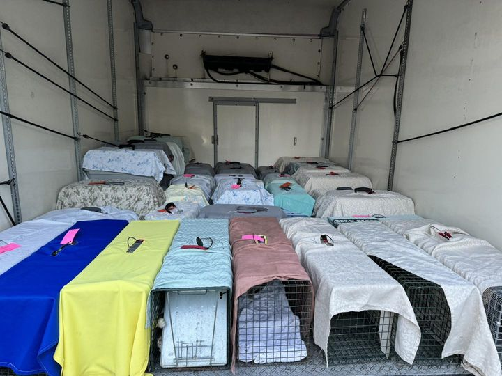 ffrckittycam's tweet photo. #Spay and #neuter day
21 females and 22 males went to Humane Ohio today.
Big thanks as always to #HumaneOhio in #Toledo for offering this discounted service to the public!
https://t.co/JXgpaBPEhU https://t.co/uyoSBG8358