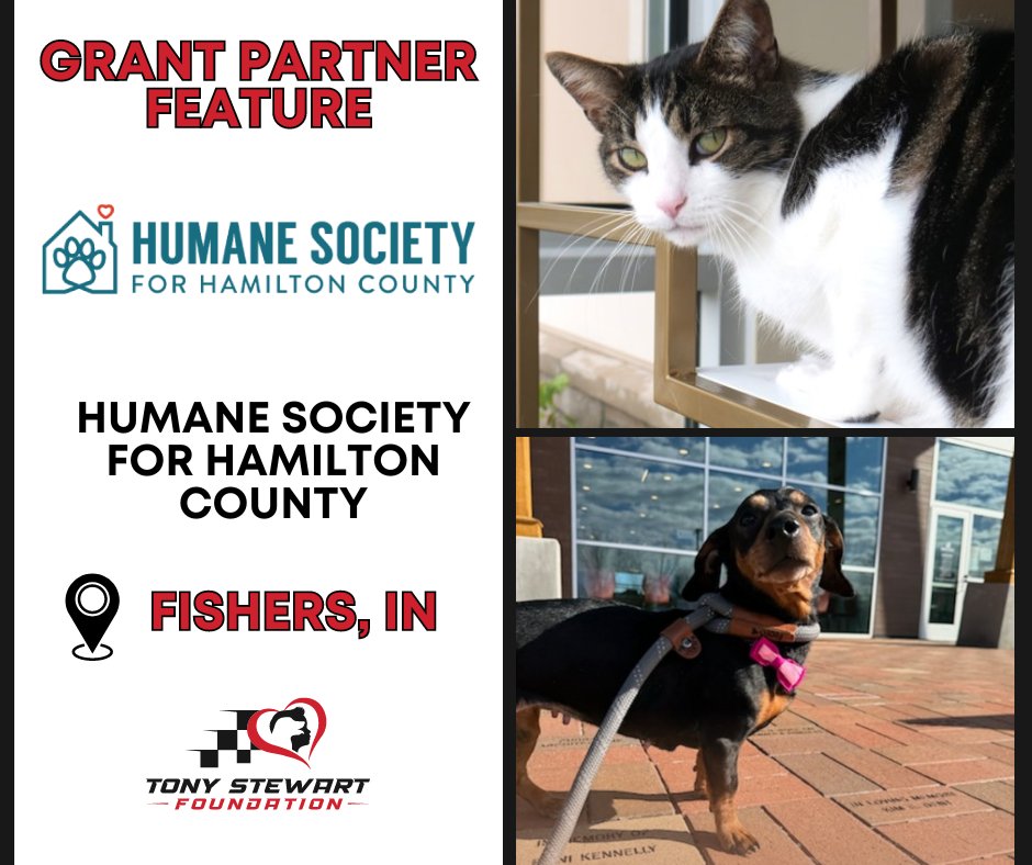 Tony Stewart - TSF tweet media