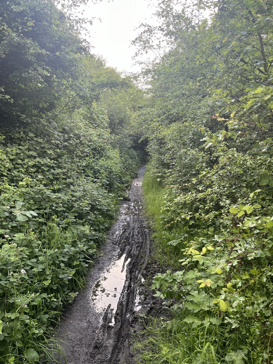 Since Dearne Valley Way across Bolton upon Dearne Tip is impassable - only path open was Warbler Way - and now this is overgrown.
What happened to crusade for more paths / cycle ways in #Barnsley and South Yorkshire ?
<a href="/SustransNorth/">Sustrans North</a> 
<a href="/TPT_National/">Trans Pennine Trail</a> 
<a href="/SarahNormanCX/">Sarah Norman</a> 
<a href="/DanJarvisMBE/">Dan Jarvis MP</a>