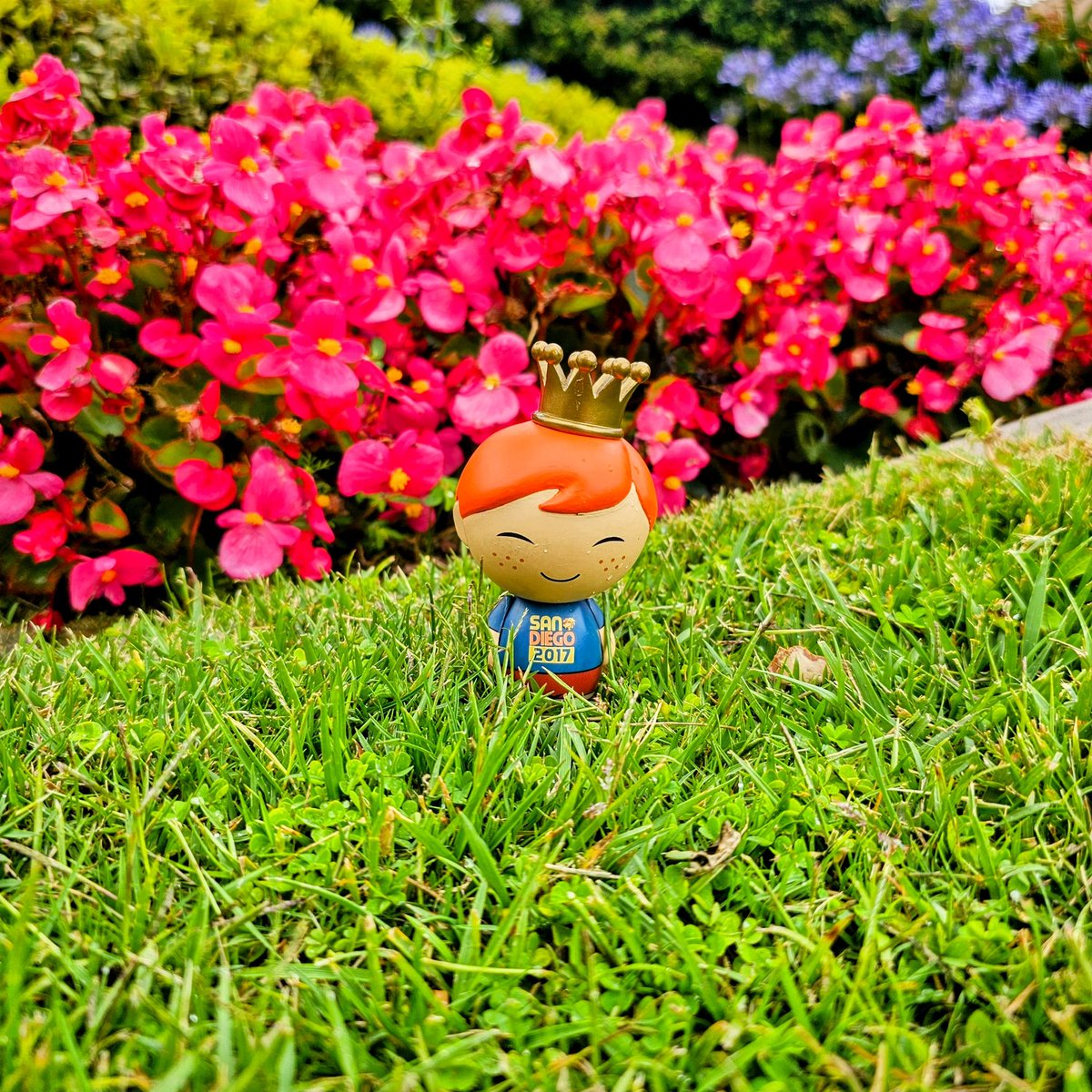 I can't wait until I'm back in San Diego for @Comic_Con
#DorbzDayThursday #OrginalFunko #FunkoCollector #FunkoCommunity #FunkoFunatic #FunaticOfTheMonth #FreddyFunko #Dorbz