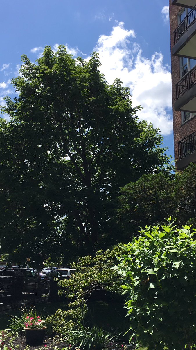 María- Simply put, I Love BTS.💜💜💜💜💜💜💜🥰 tweet media