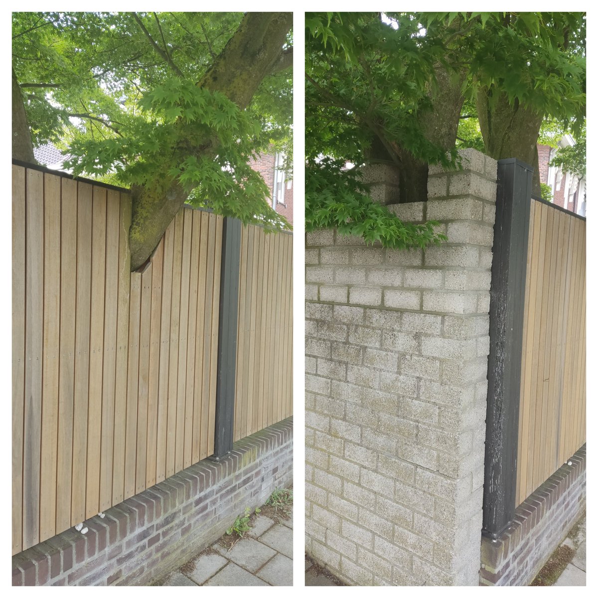 Lars van der Wal tweet media