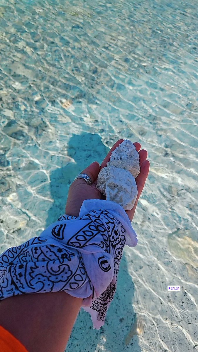 dnybjk's tweet photo. #saldagölü💙💙 https://t.co/2zz8U2Hmsa