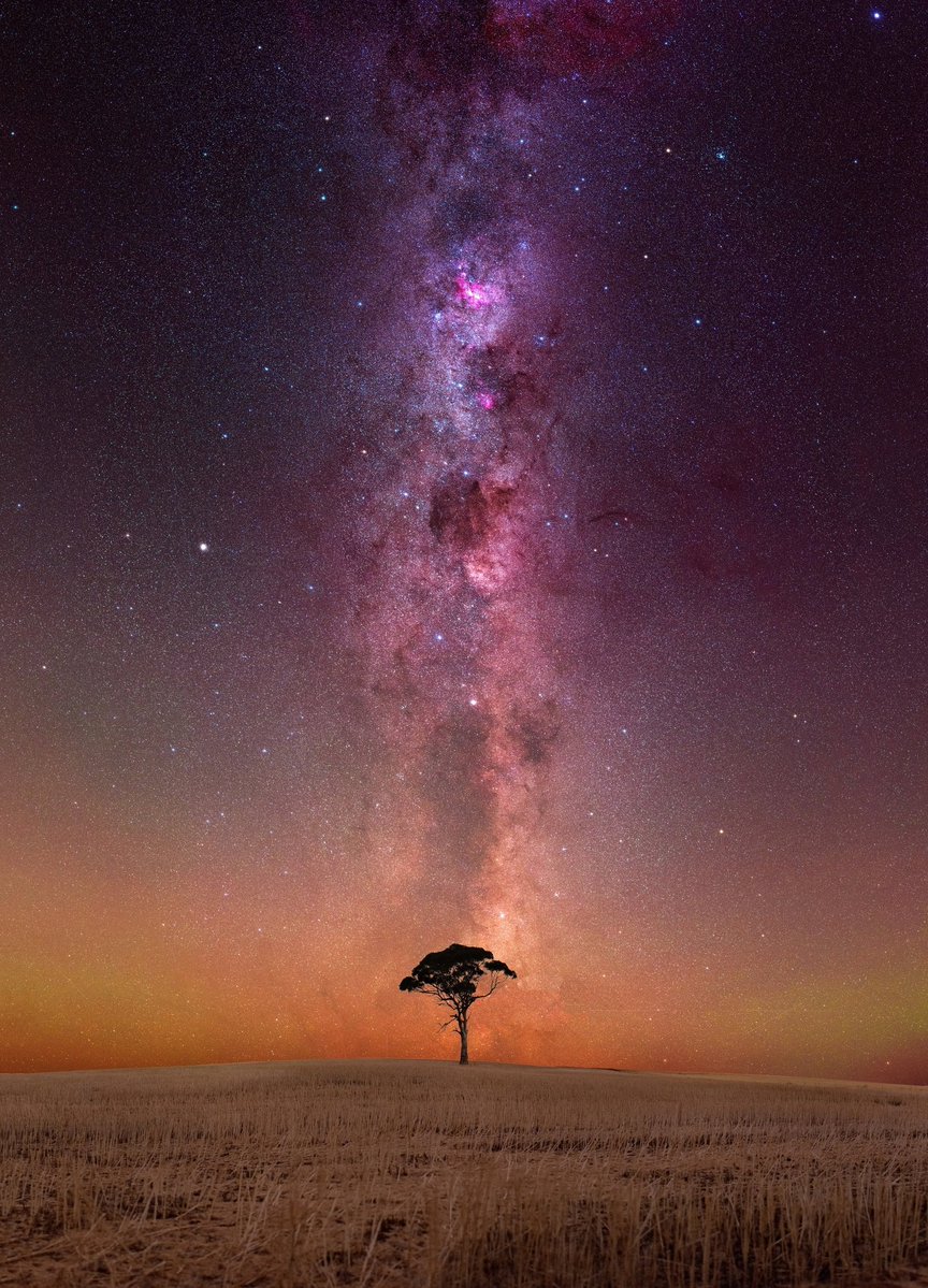 The Milky Way over Western #Australia
📷 Trever Dobson

#matter #energy #NatureMagic #nature #science #physics #lifesciences #astrophysics #universe #light #Earth #astronomy #space #NFTs #knowledgeisPower #stars #galaxy #NASA #NFT #digitalartists #photographicart #ThursdayRewind