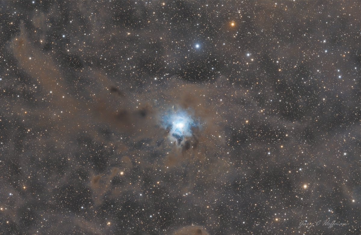 NGC 7023 The Iris Nebula (my nemesis!).
I'm only about half way through collecting the ~15 hours of data I want for this, but couldn't resist having a go to see what I could get out of it so far.

Details in ALT

#Astronomy #Astrophotography #Space #Stars #Nebula #ThePhotoHour