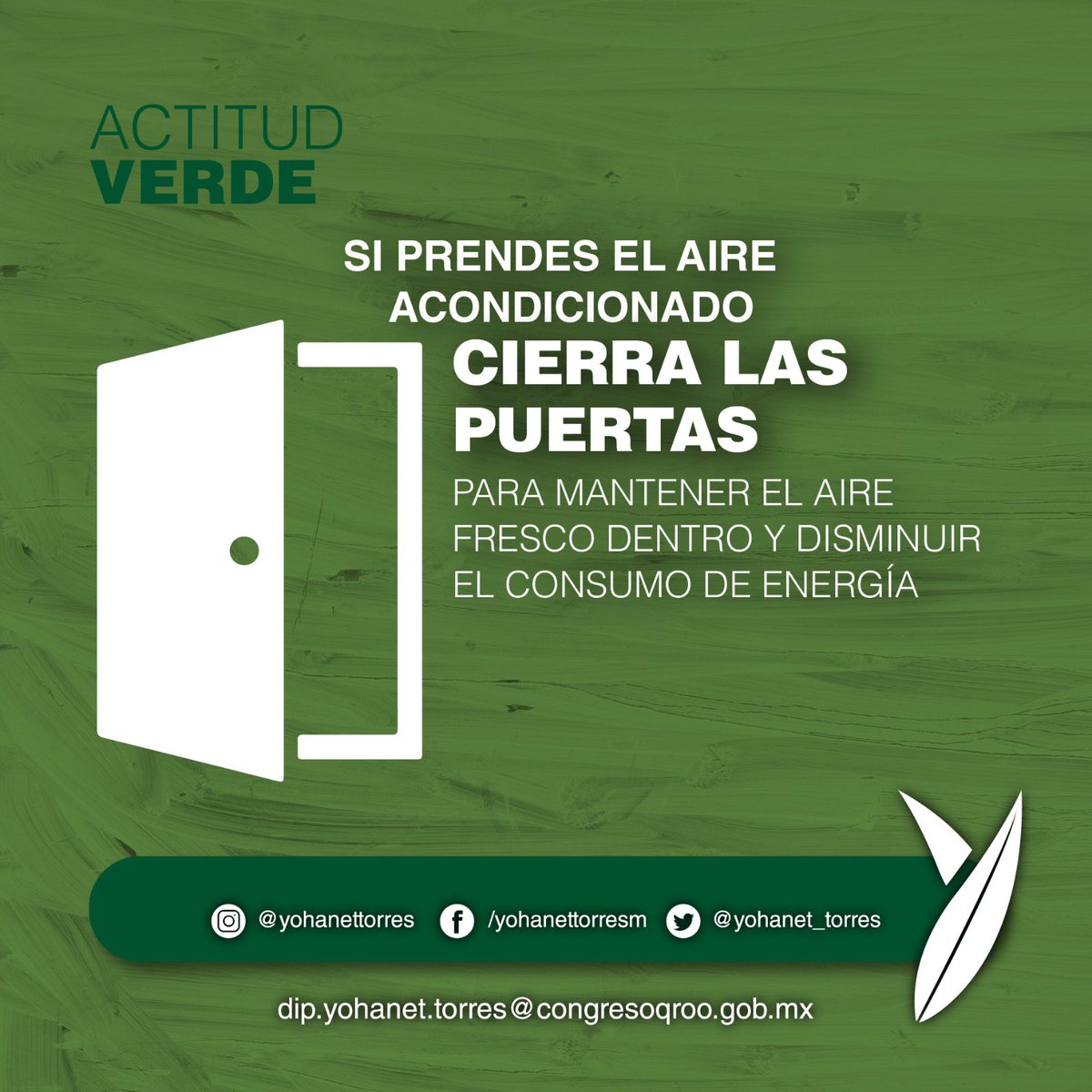 yohanet_torres's tweet image. #TipVerde