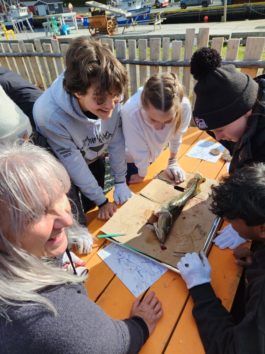 In November our high school nutrition and biology classes had an opportunity to  visit <a href="/IslandRooms/">Fishing for Success</a> . All students fished throughout the morning, others completed dissections and the nutrition class cooked up a beautiful meal on the waterfront for us all to share! <a href="/StBonaventures/">St. Bon's 🇨🇦</a>