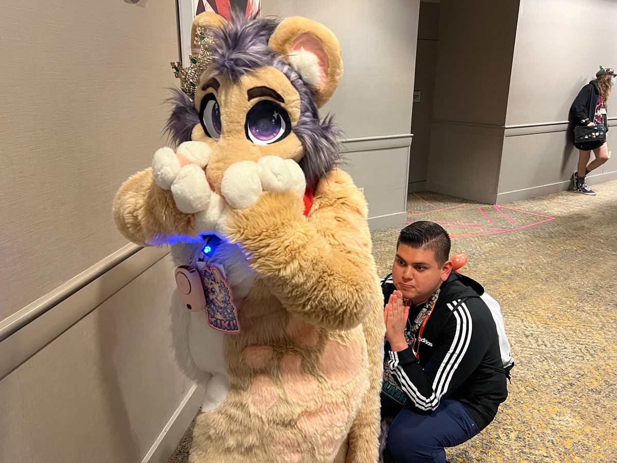 Cute lion furry <a href="/Lightpaw_Magee/">Kiki</a> 

#Furlandia2024 #Furlandia