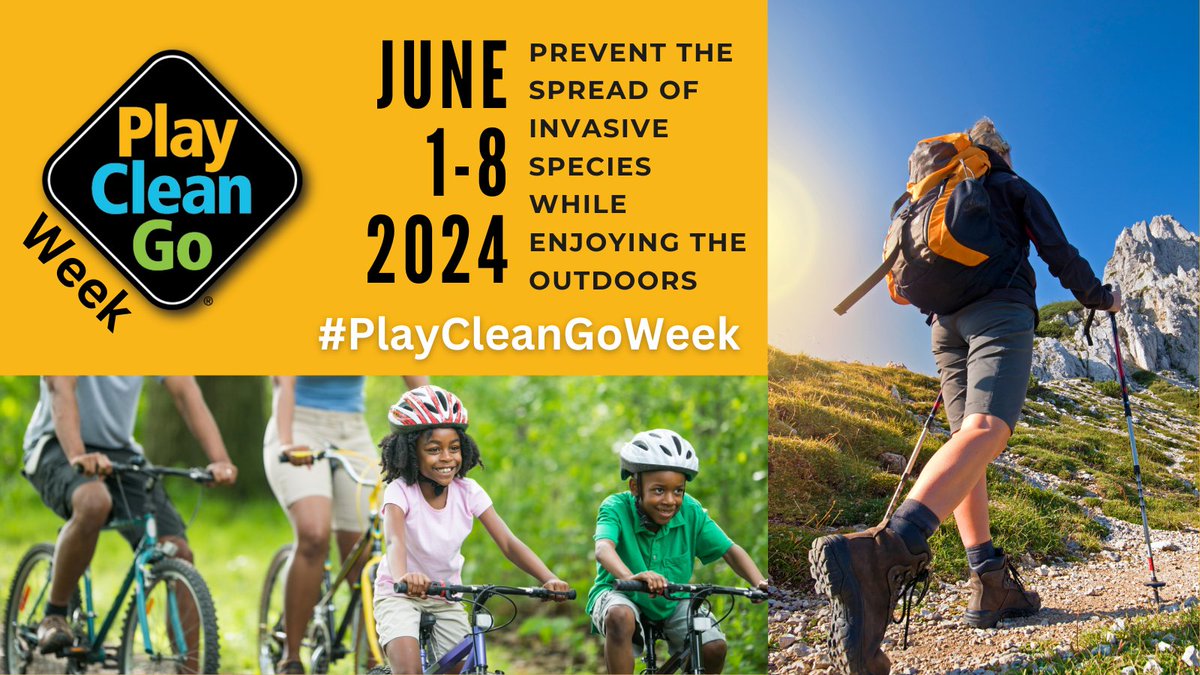 CanadaInvasives's tweet image. #PlayCleanGoWeek starts in just 2 days! 🙌
Access our FREE social graphics and help connect individuals with actions to prevent the spread of invasive species while enjoying the great outdoors!
#PlayCleanGo
Access graphics and learn more: eu1.hubs.ly/H09pjy50