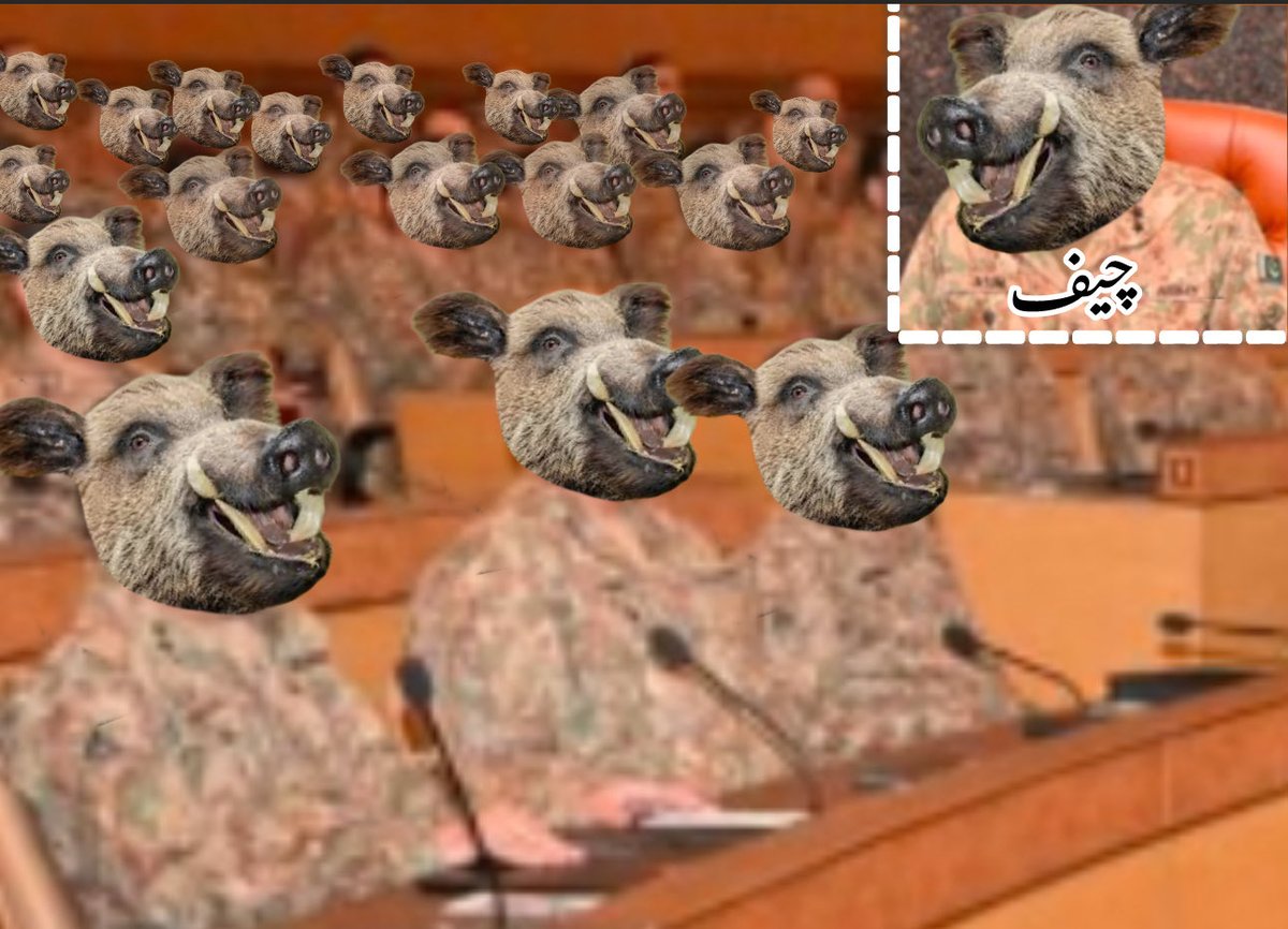 83rd فارمیشن کمانڈرز کانفرنس: پاکستان کی فصل کو تباہ کرنے پر زور دیا گیا❗️