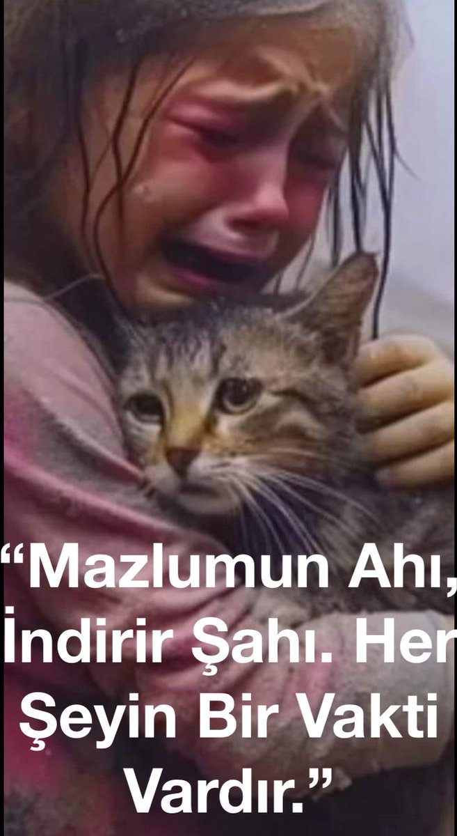 Kaan Sariaydin (@kaansariaydin) on Twitter photo #RafafOnFıre #GazaGenocide #RafafOnFıre #GazaGenocide