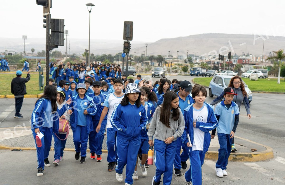 Servicio Local de Educación Pública Chinchorro tweet media
