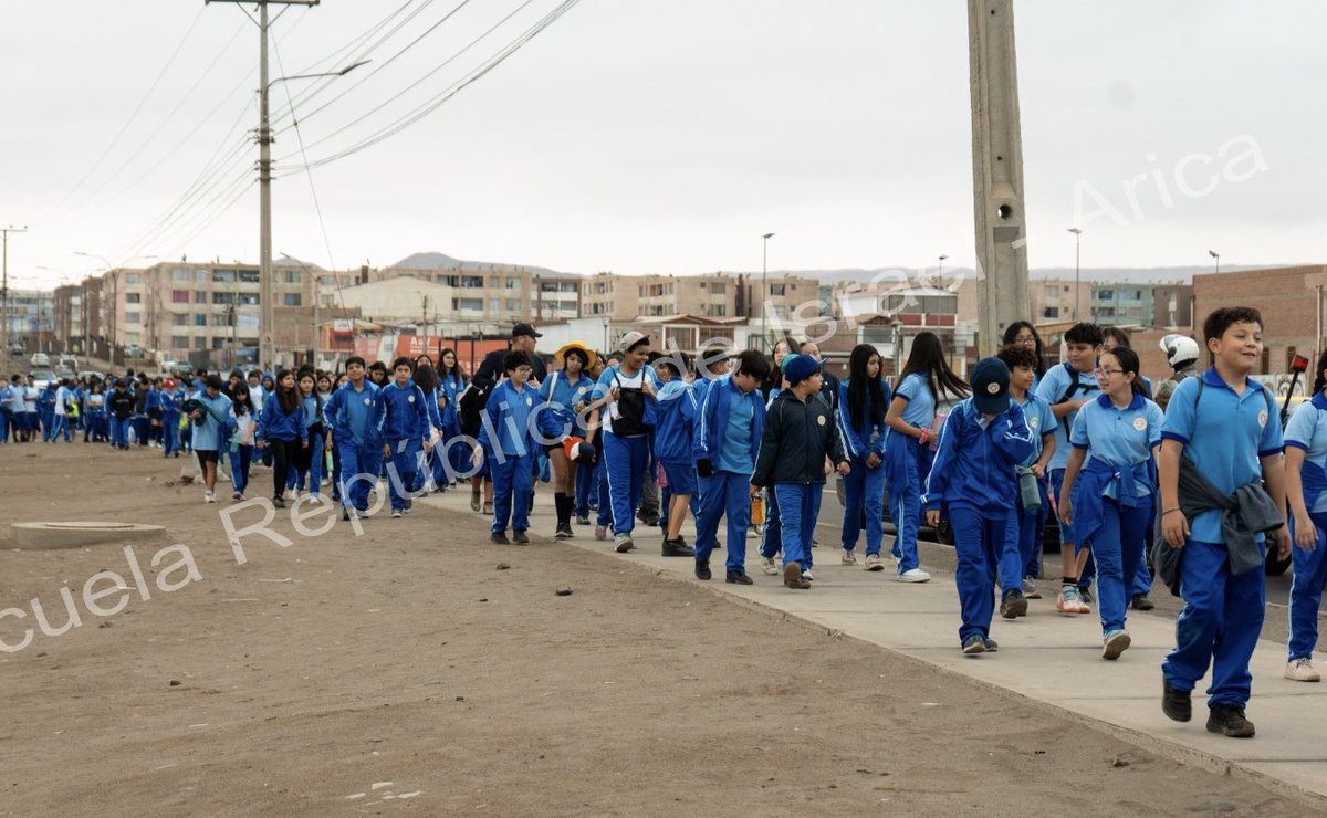 Servicio Local de Educación Pública Chinchorro tweet media