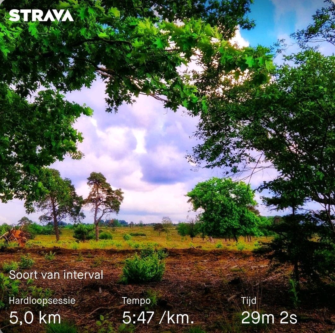 Spontane interval, Willow moet een plas, stop,  Willow ziet een ree, stop,  Willow ruikt iets, stop, etc etc 😂 @loopmaatjes @hardloopvriend #runnjng 
Bekijk mijn activiteit op Strava: strava.app.link/KUxHyTZI1Jb