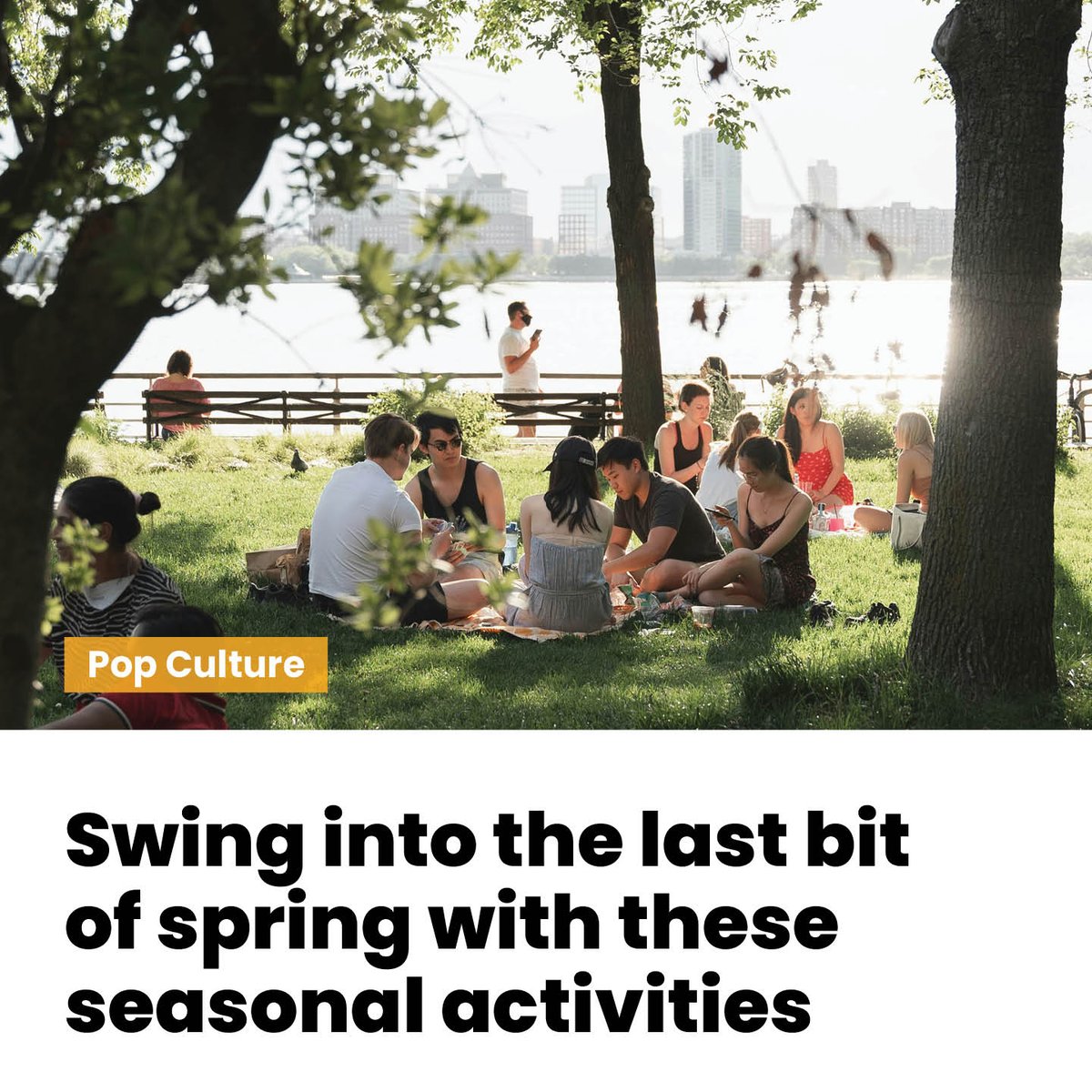 #POPCULTURE: Swing into the last bit of spring with these seasonal activities

Whether it’s walking in nature or having a picnic, there’s many simple ways to enjoy the fresh air and clear skies

#SpringSeason #SpringActivities #MetroVancouver
ow.ly/v7CY50S2zTv
