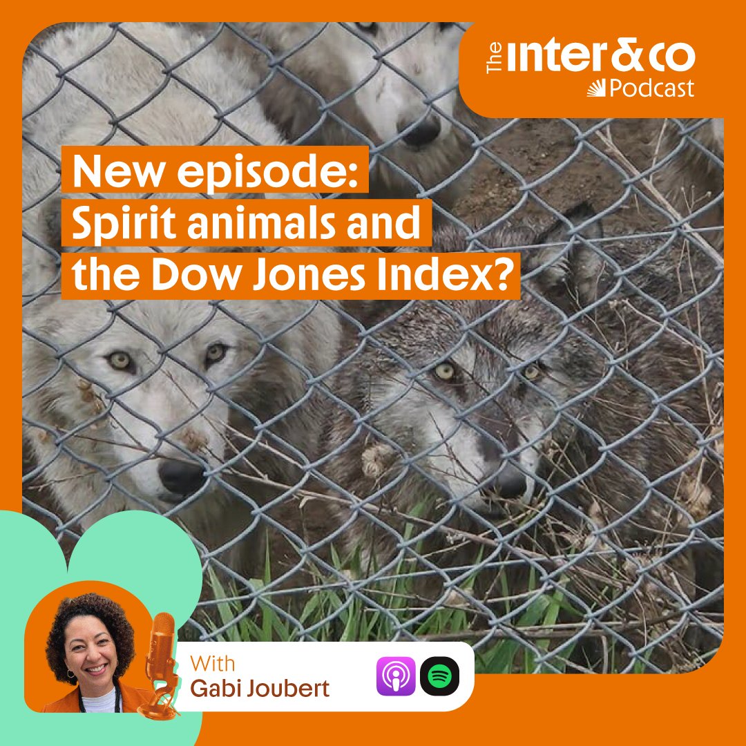 inter_us's tweet photo. Today on your weekly dose of market and finance news we look at the spirit animals that rule the stock markets and also dig into why the Dow Jones is trending. 💰 Access https://t.co/xqBpiVerDH to listen and subscribe!

Fun fact: This photo was actually taken by our host @GabCJoubert  on her wilderness adventure! 😮🐺