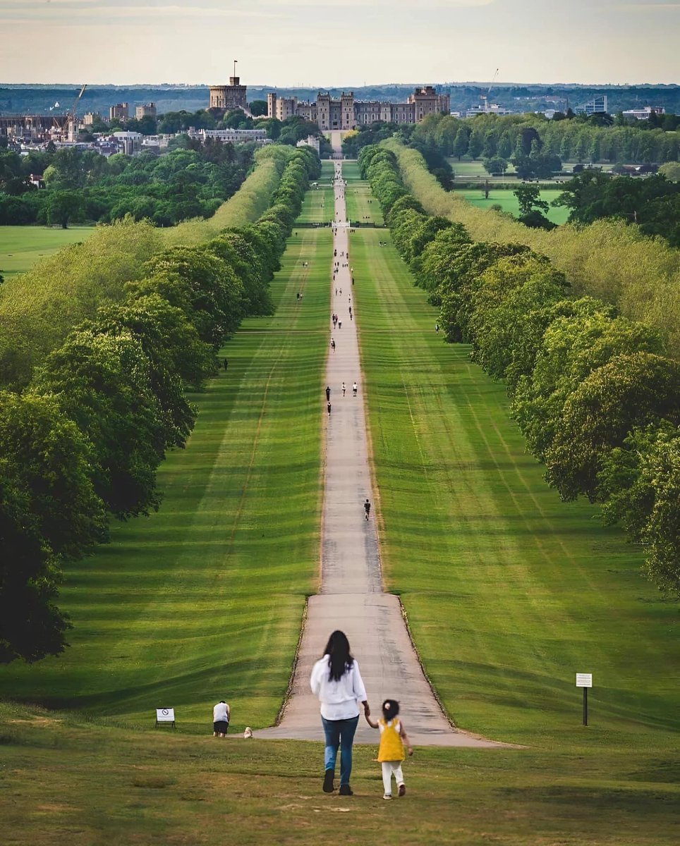 What a lovely photo of The Long Walk at Windsor Castle 🏰 ❤️❤️❤️❤️