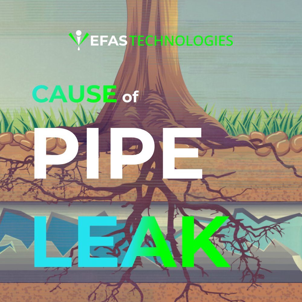 Did you know a tree root could be the cause of your pipe leak?

🌳 When pipes are laid underground, the soil around them has typically been dug out and loosely backfilled. This makes it much easier for trees to establish roots, taking advantage of such areas if they’re available.