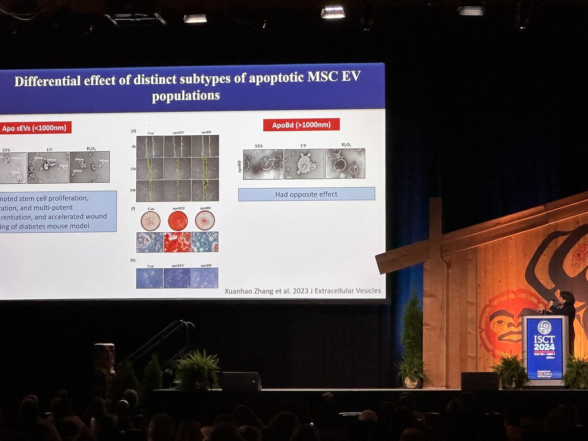 KennethWWitwer's tweet photo. In today’s plenary session @ISCTglobal #ISCT2024, @EditBuzas introduces the diversity and importance of #ExtracellularVesicles for therapies #CGT @IsevOrg @IsevComms #amphisomes #ApoptoticBodies #migrasomea #ectosomes #sEVs #lEVs #exosomes https://t.co/4zE3swkOun