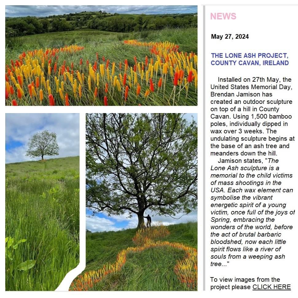 Ciaran Magill tweet media