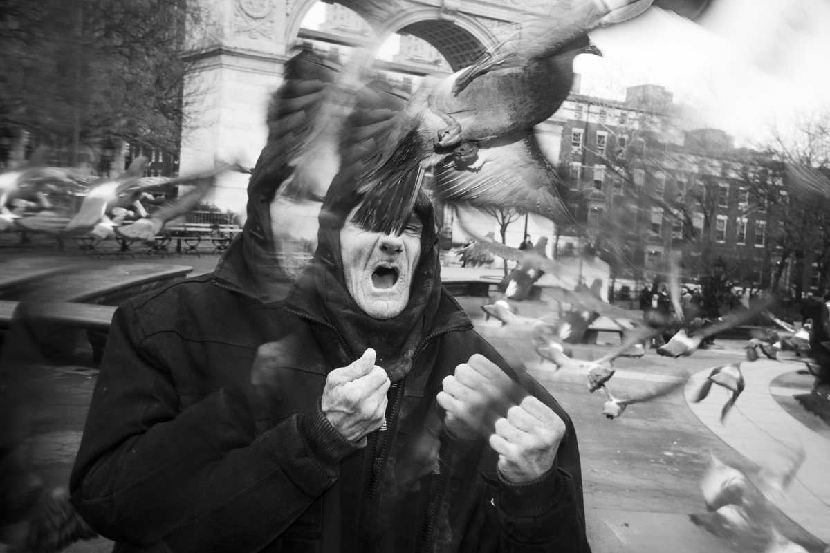 Theo Fandto tweet media