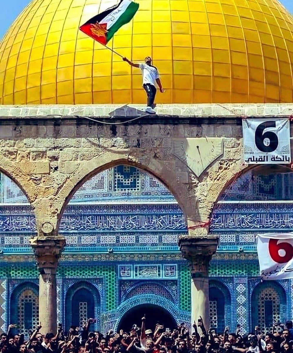 orujul's tweet photo. The "Star Wars" franchise, with its themes of rebellion against tyranny and the fight for justice, can be correlated to the current state of Israel's oppression of Palestine. Here are some parallels:

1/N

#FreePalestine
#Gaza #Rafah 
#Israel https://t.co/aZoIMBXxpQ