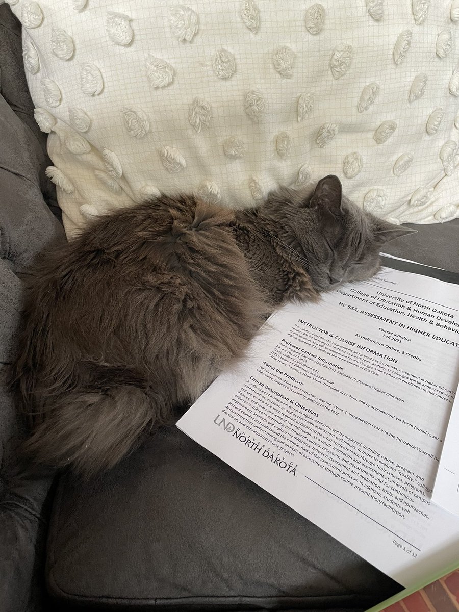 Ray Mitic (he/him/his) tweet media