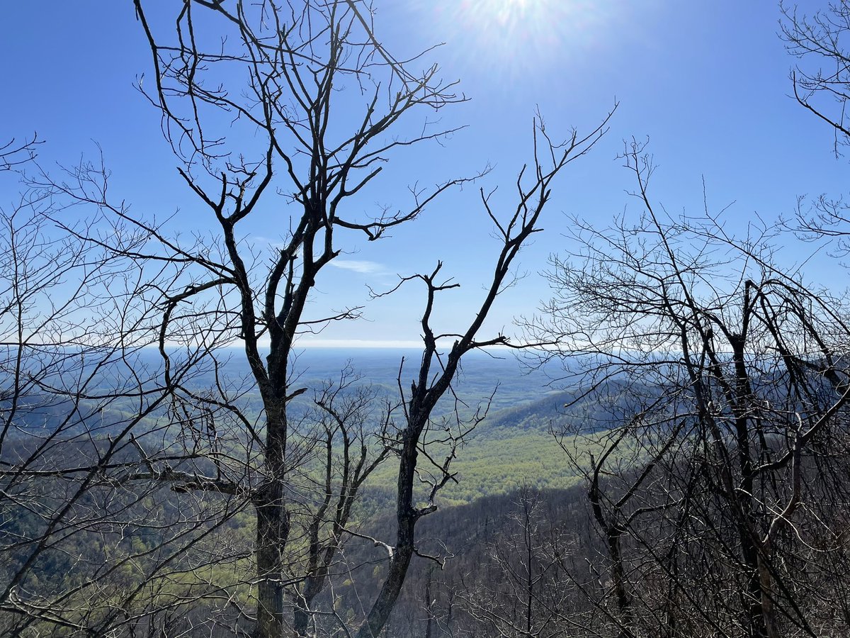 Ray Mitic (he/him/his) tweet media