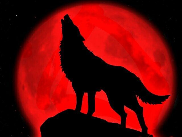 _RXDM00N's tweet photo. https://t.co/4ipnlOsxvs