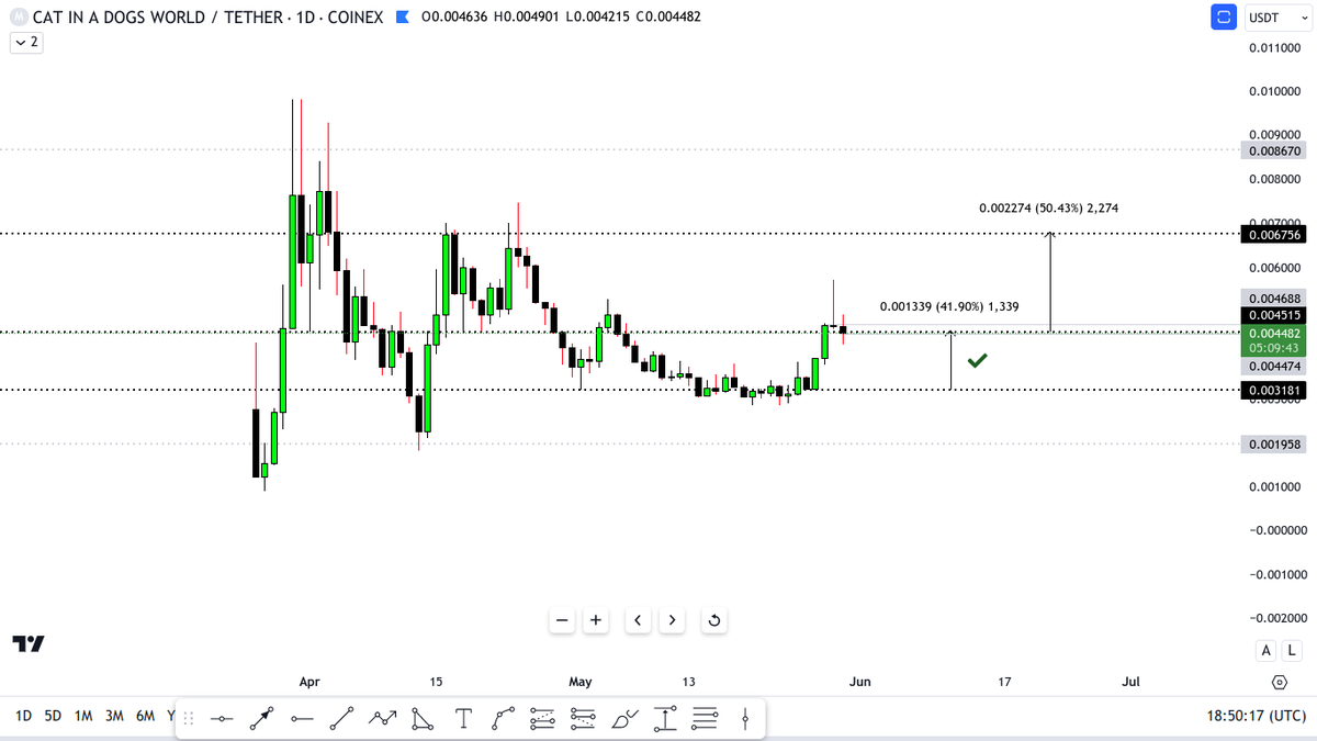 ⭐RᗩᖴᗩEᒪᗩ 𝗥𝗜𝗚𝗢 ⭐ tweet media