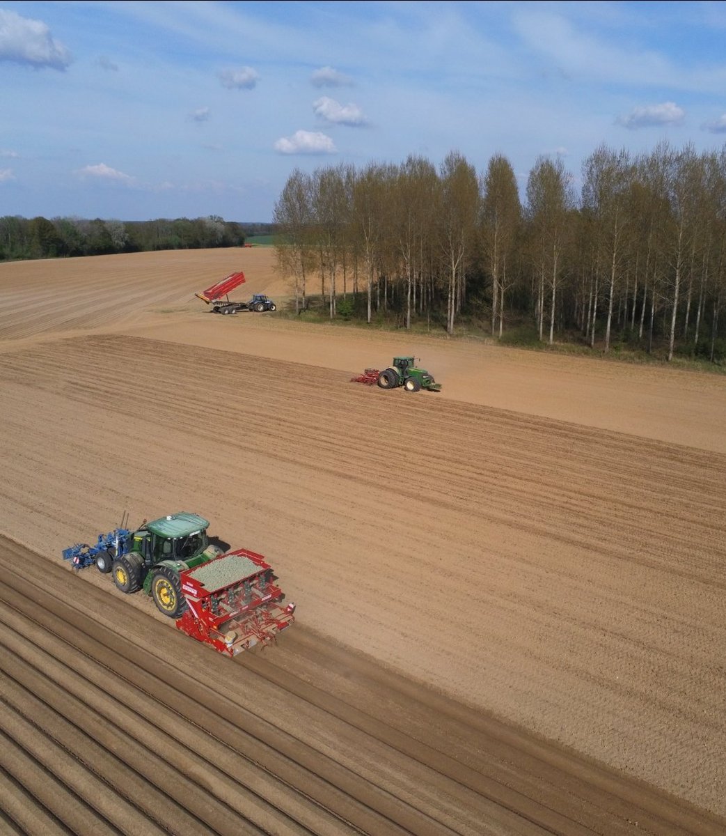 Benj' Thi🇫🇷🍎🥔 tweet media