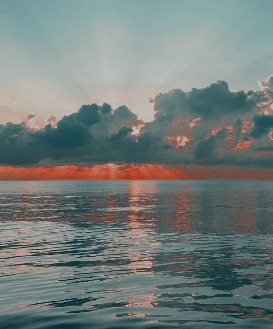 𝒐𝐥͟𝐢𝐯𝐞𝐢𝐫𝐚. tweet media