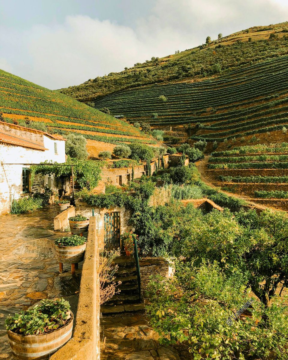 17. The Douro Valley in Portugal 🇵🇹 This UNESCO World Heritage Site is known for its stunning terraced vineyards & delicious port wine.