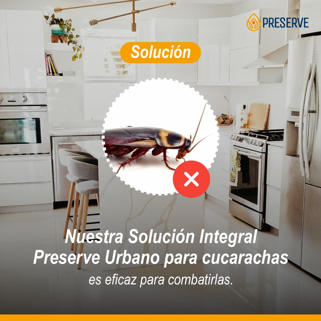 Grupo Preserve tweet media