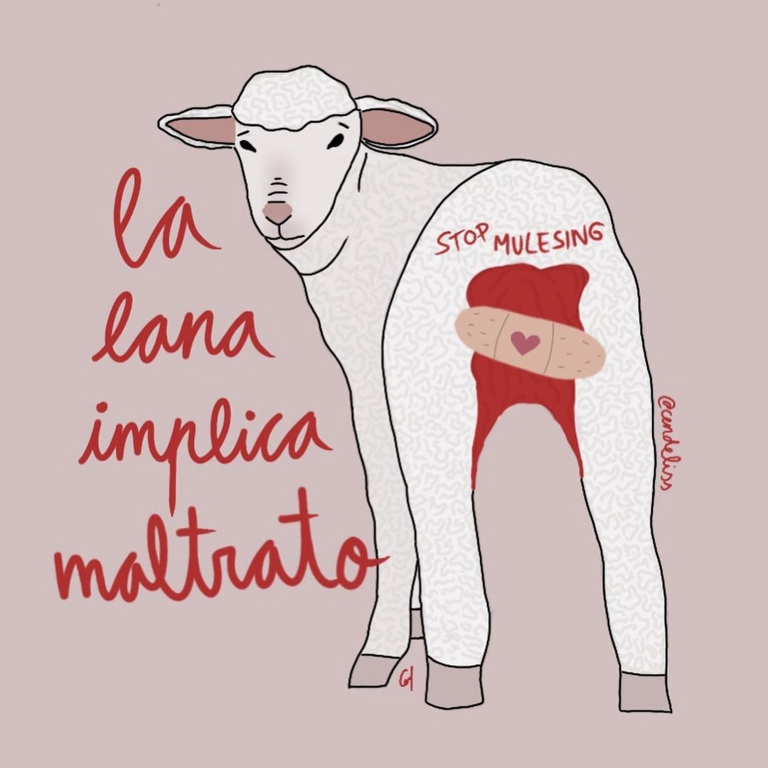VeganFTAEspanol's tweet photo. El mulesling consiste en cortarle a las ovejas el rabo y la piel del glúteo con unas tijeras de esquilar y sin ningún tipo de anestesia. Es una práctica común en la industria de la lana, que les provoca mucho dolor 🐑💔
📸 IG cendeliss
#lanadeoveja #modavegana #abrigo #veganart https://t.co/cbAZqbqF9O