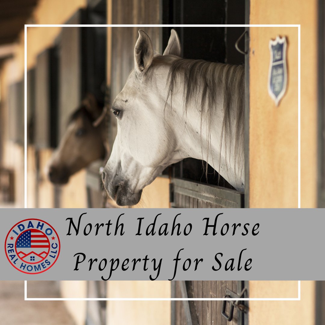 Are you searching for a home for you & your beloved equine friend? Explore horse properties for sale in North #Idaho!
zurl.co/zqHH 
#homesforsale #IdahoRealEstate #horseproperty #horseproperties #NorthIdaho #equestrianlife #horsebackriding #dreamhome #househunting
