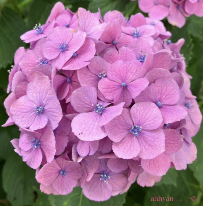 皆さま おはようございます😊 雨風の被害は大丈夫でしょうか🍃🌀 ご安全にお過ごし下さいませ( ᵕᴗᵕ ) 今月もありがとうございました🙇‍♂️ 明日6月からも宜しくお願い致します🤗